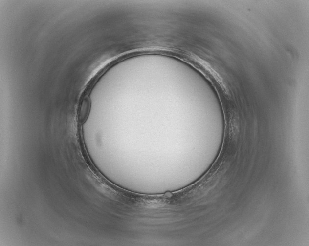 X0000115521460200912040918