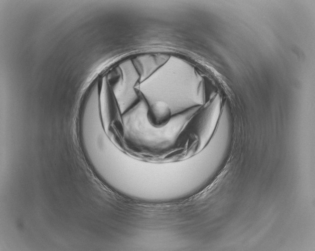 X0000115521461200912040918