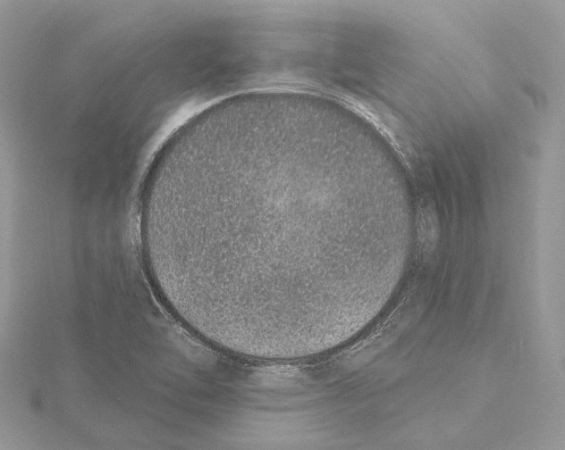 X0000115521462200912040918