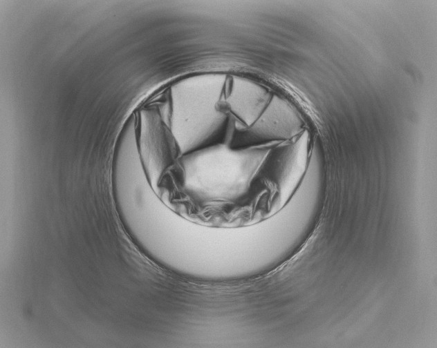 X0000115521465200912040918