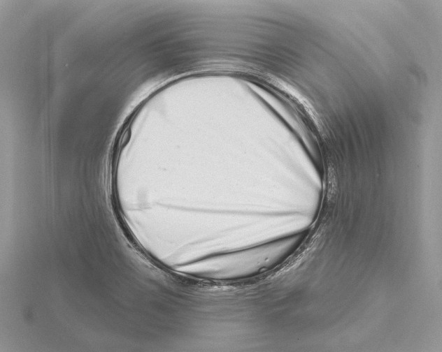 X0000115521467200912040918