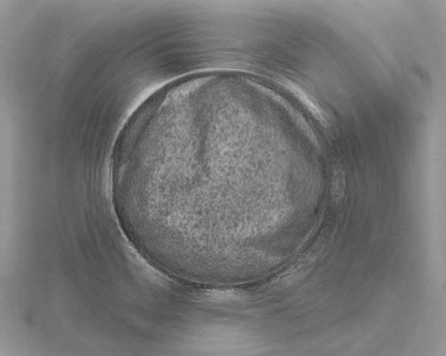 X0000115521468200912040918