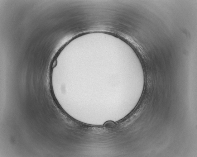 X0000115521469200912040918