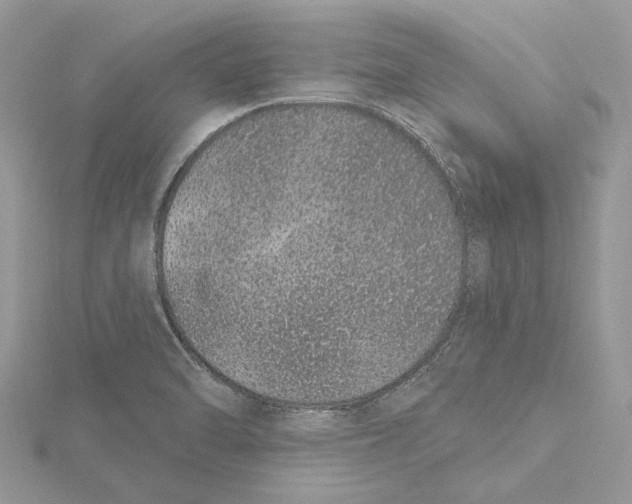 X0000115521470200912040918