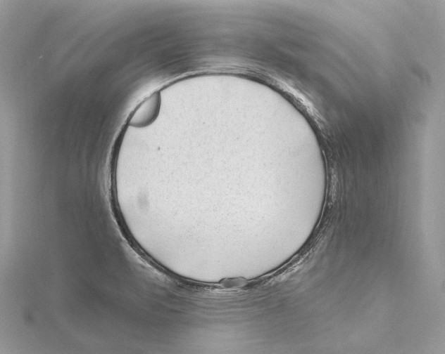 X0000115521471200912040918