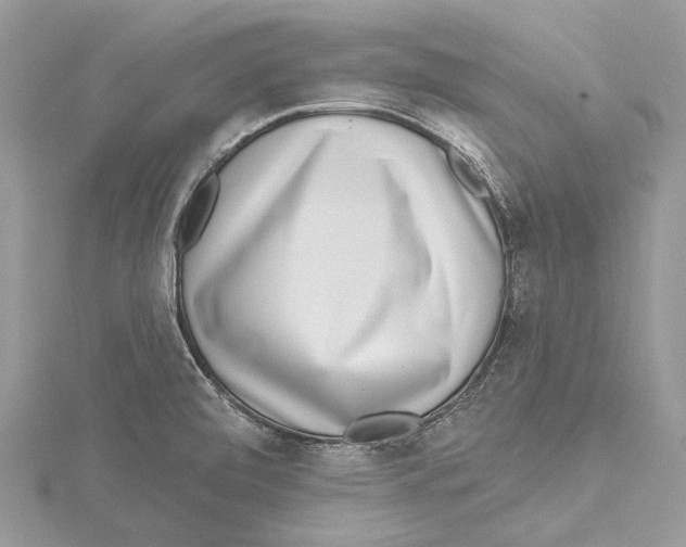 X0000115521472200912040918