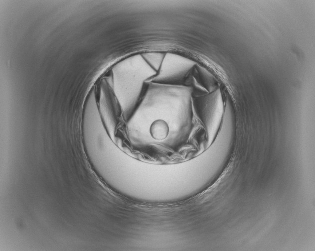 X0000115521473200912040918