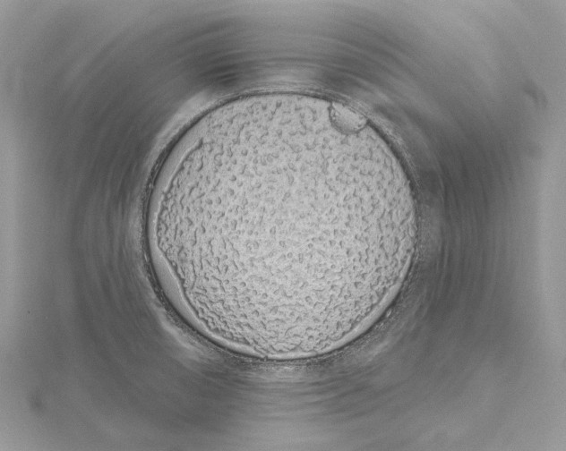 X0000115521474200912040918