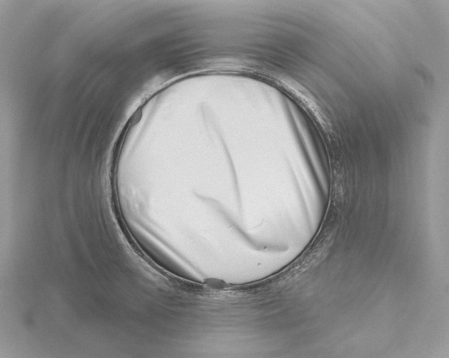 X0000115521475200912040918