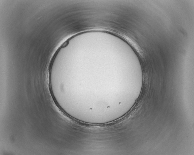 X0000115521476200912040918