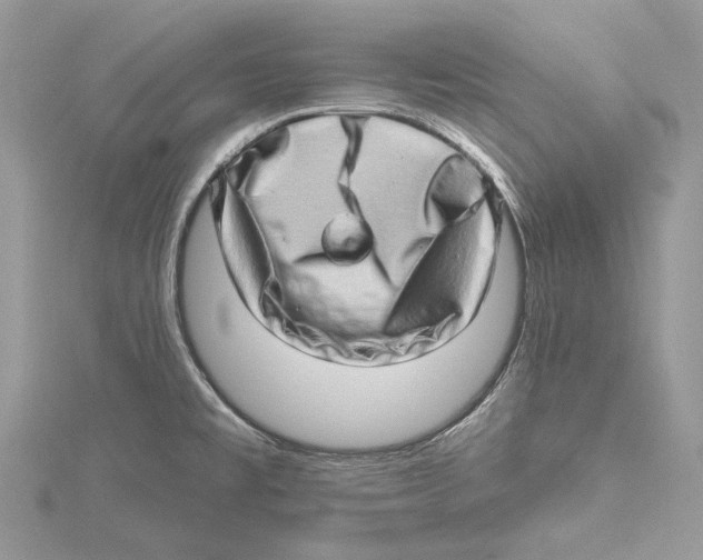 X0000115521477200912040918