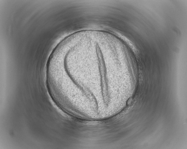 X0000115521479200912040918