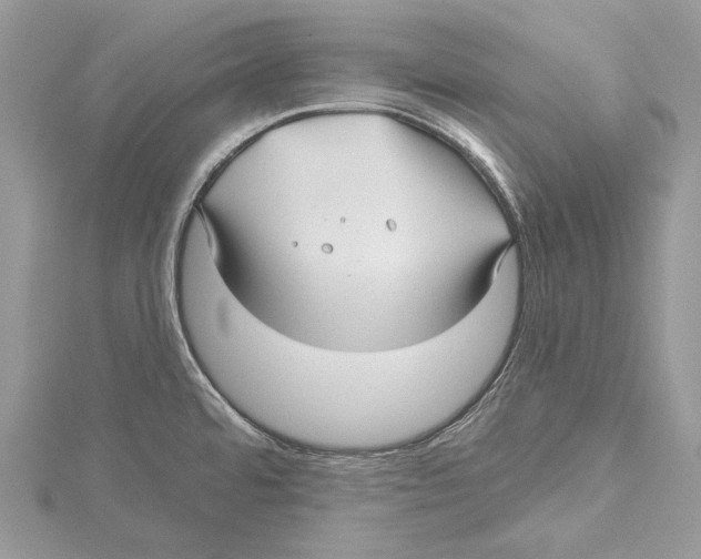 X0000115521480200912040918