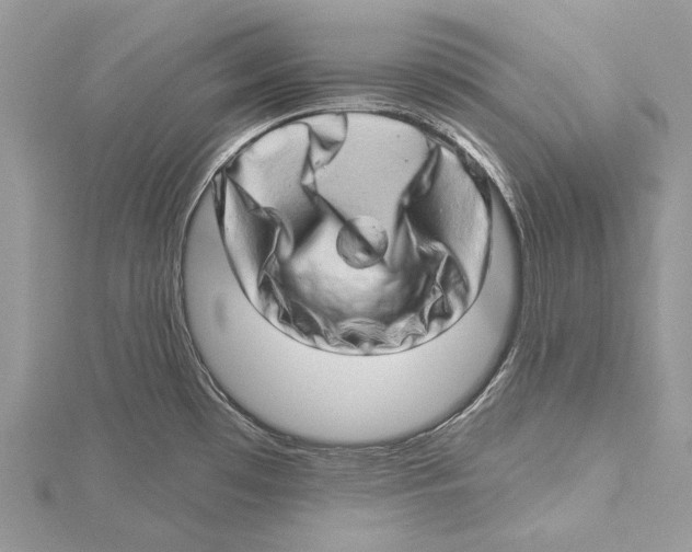 X0000115521481200912040918