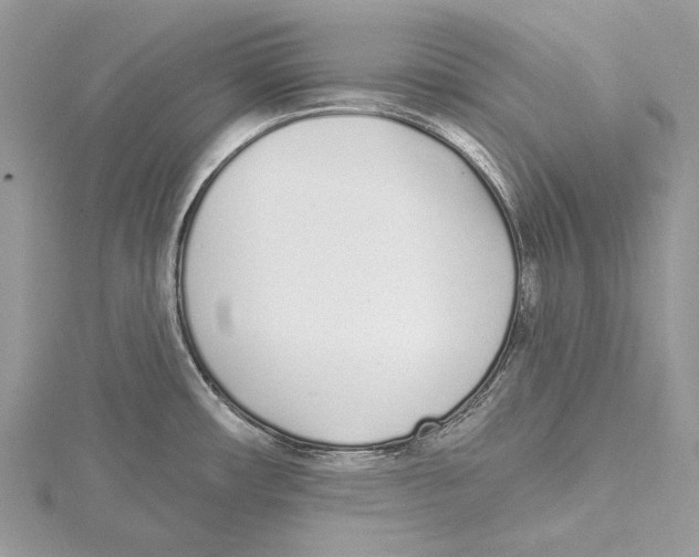 X0000115521482200912040918