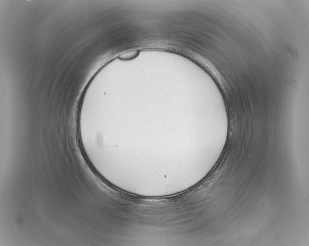 X0000115521483200912040918