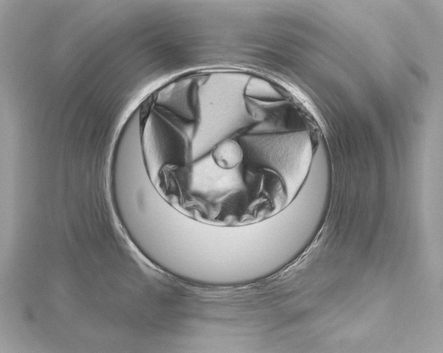 X0000115521485200912040918