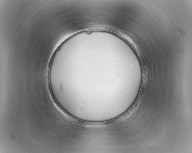 X0000115521487200912040918