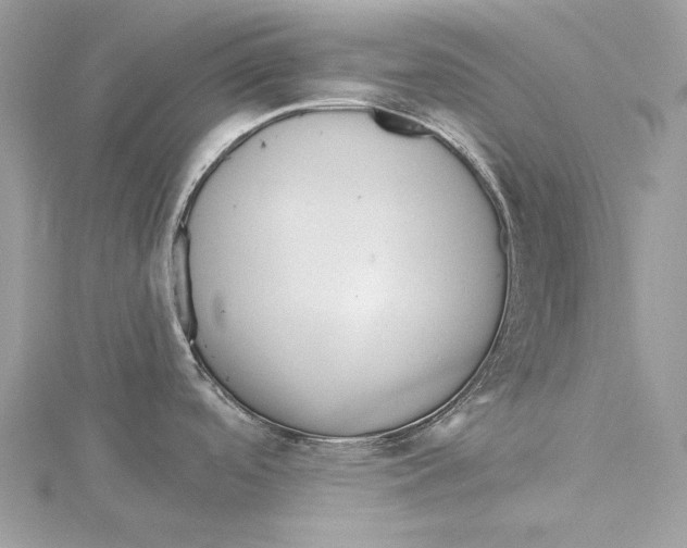 X0000115521488200912040918