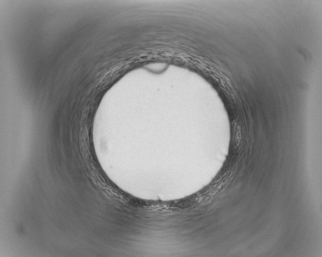 X0000115521489200912040917