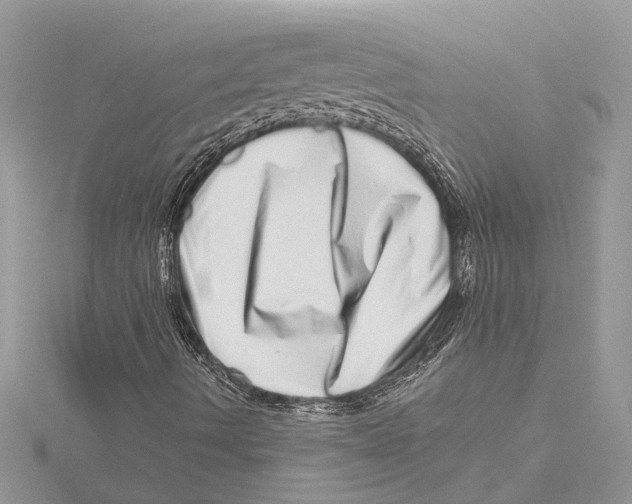 X0000115521490200912040917