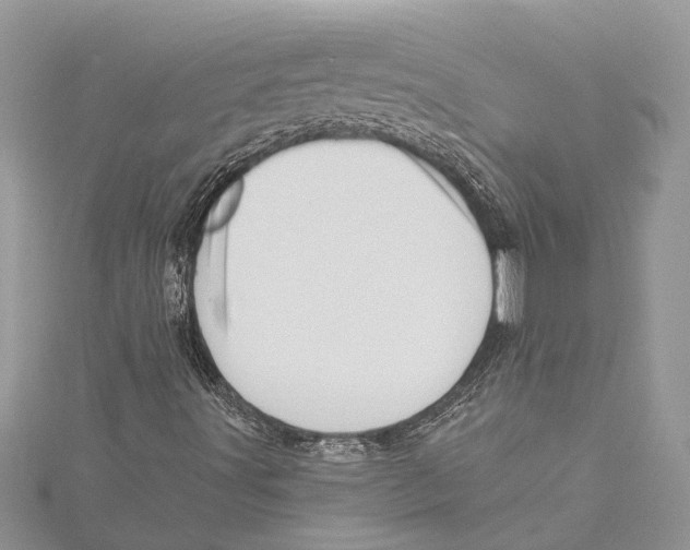 X0000115521491200912040917