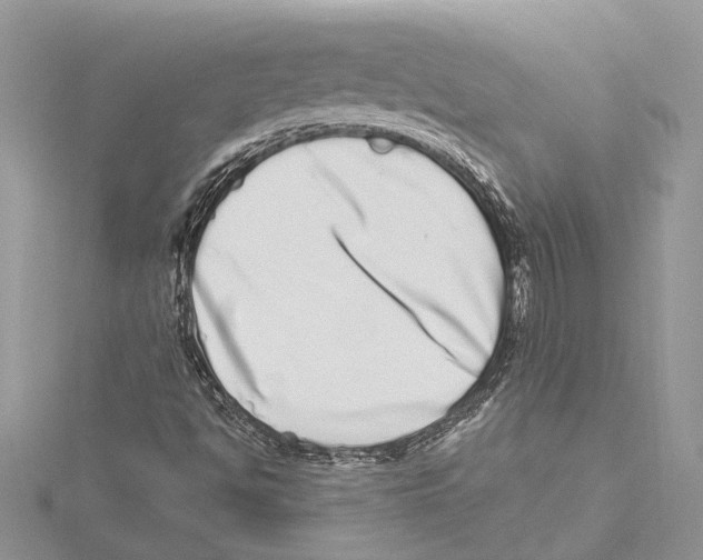 X0000115521494200912040917