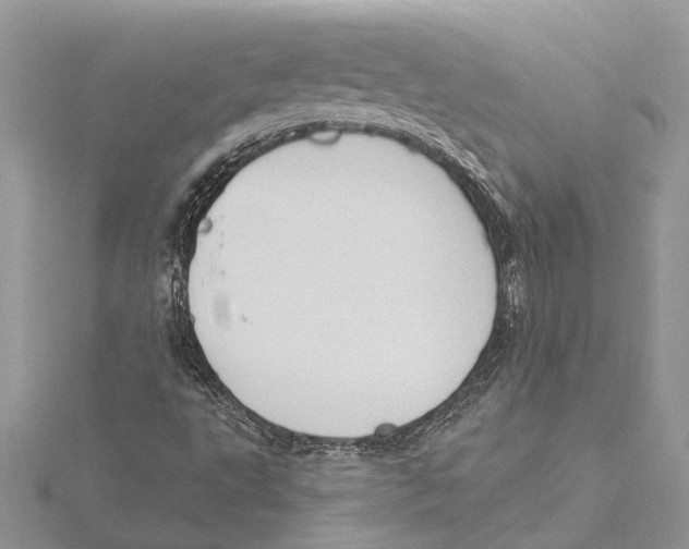 X0000115521495200912040918