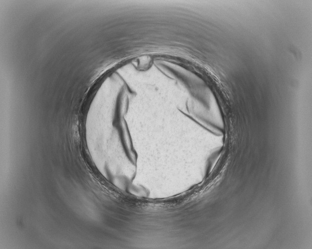 X0000115521497200912040918