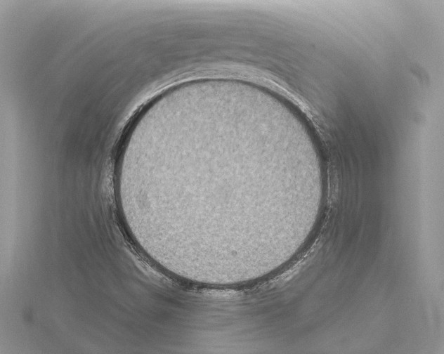 X0000115521498200912040918