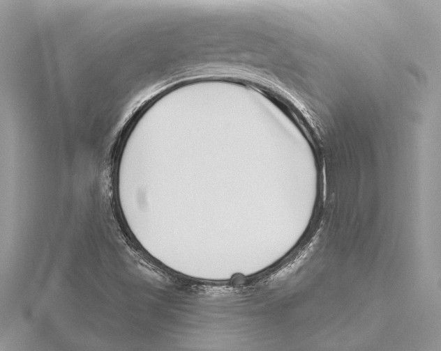 X0000115521501200912040918