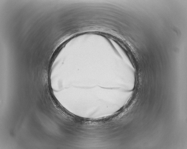 X0000115521505200912040918