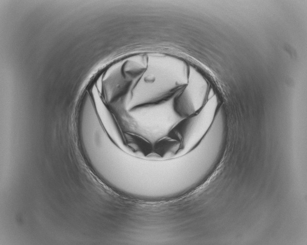 X0000115521506200912040918