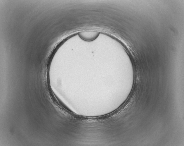 X0000115521507200912040918