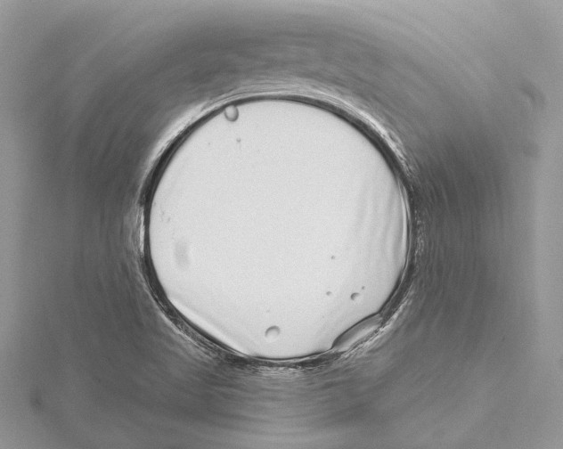 X0000115521509200912040918