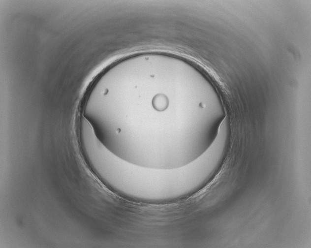 X0000115521510200912040918