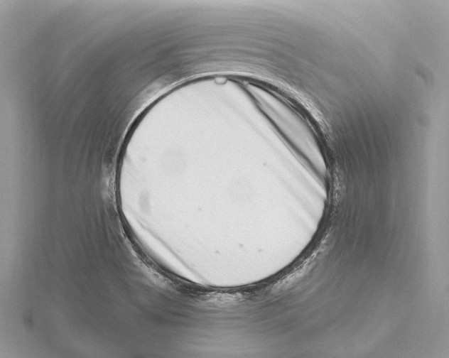 X0000115521513200912040918