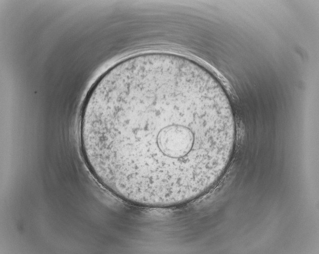 X0000115521514200912040918