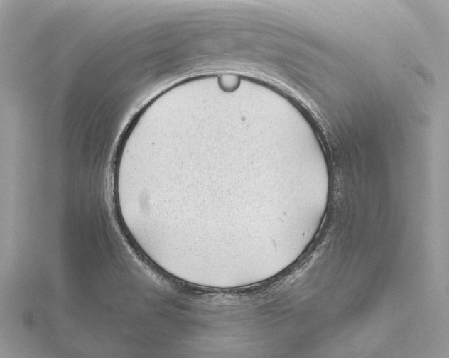 X0000115521517200912040918