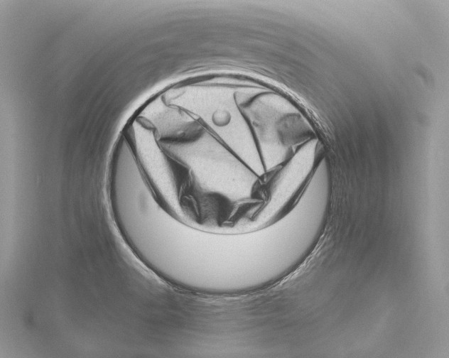 X0000115521518200912040918