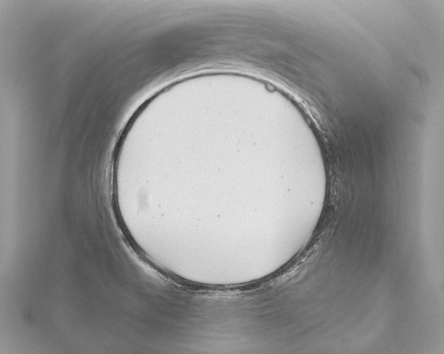 X0000115521519200912040918