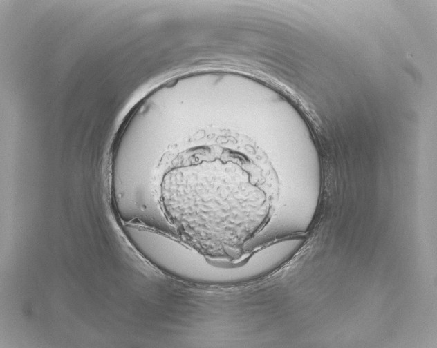 X0000115521522200912040918