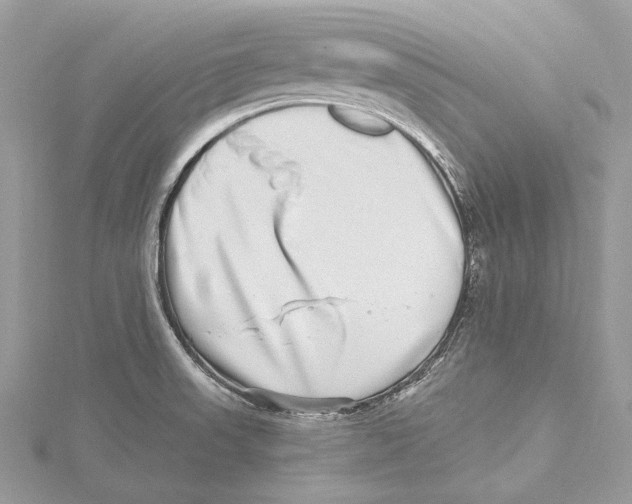 X0000115521523200912040918