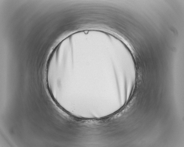 X0000115521525200912040918