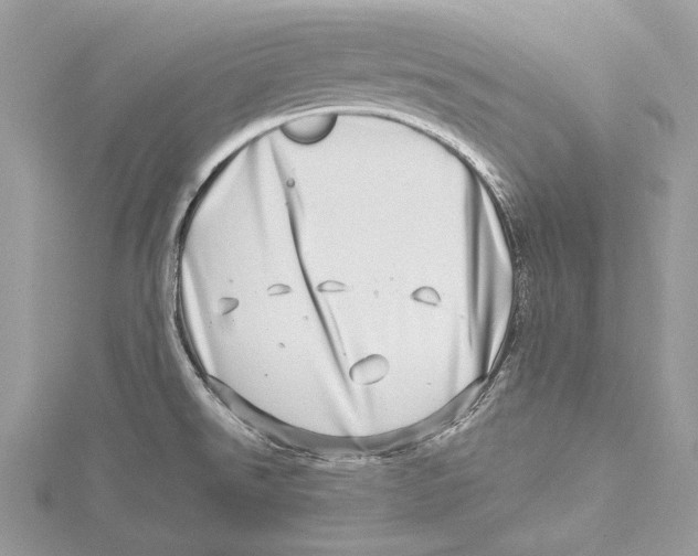 X0000115521526200912040918