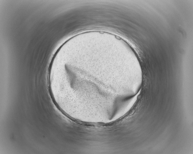 X0000115521527200912040918