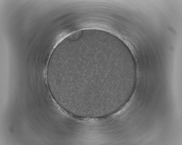 X0000115521529200912040918