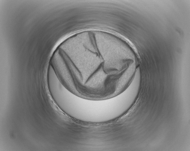 X0000115521530200912040918