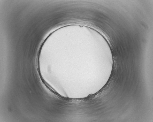 X0000115521531200912040918