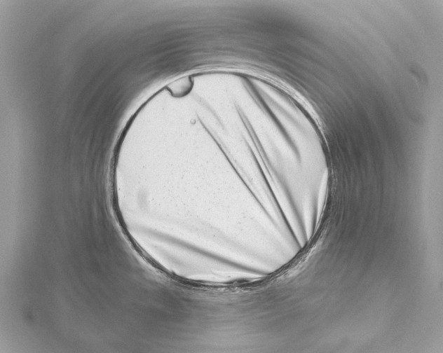 X0000115521533200912040918